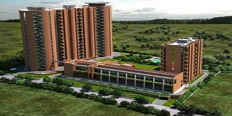 The Magic Faraway Tree, Rs. 2.30 Crores, Thalaghattapura, South Bangalore