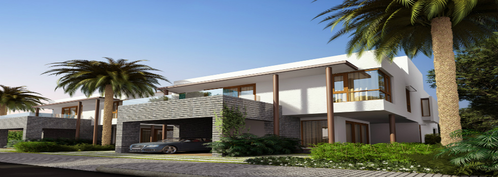 Around the Mangoes villas in Sarjapur Road, East Bangalore