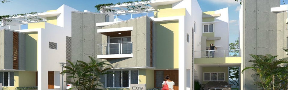 Casa Grande Neona
