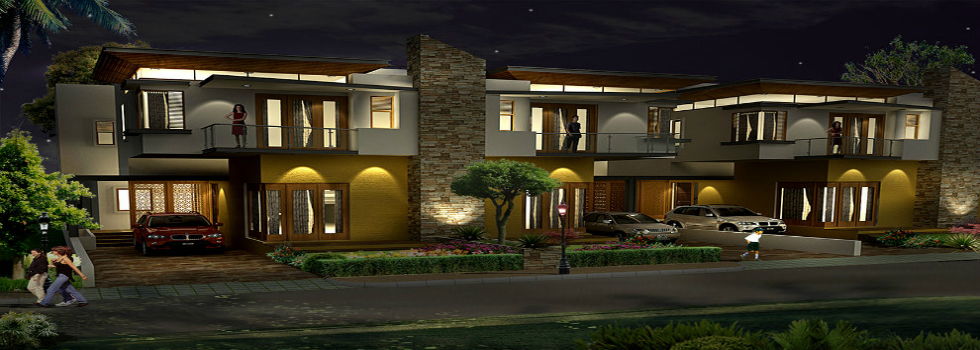 Esteem Northwood