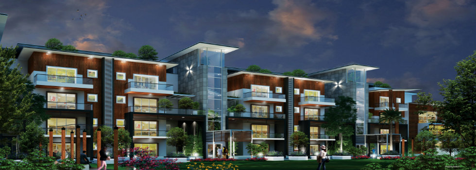 Krishna Haven