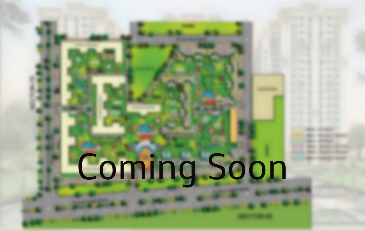 MIMS Espacio master plan
