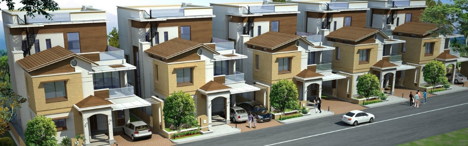 NCC Urban Green Province