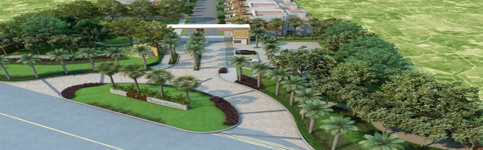 NCC Urban Green Province
