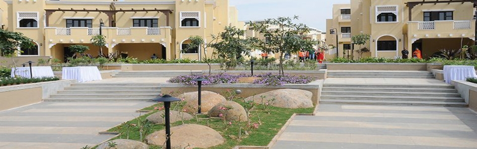 Prestige Silver Oak..