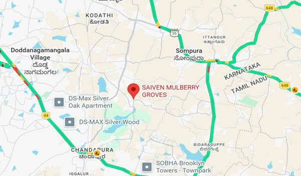 Saiven Mulberry Groves location map