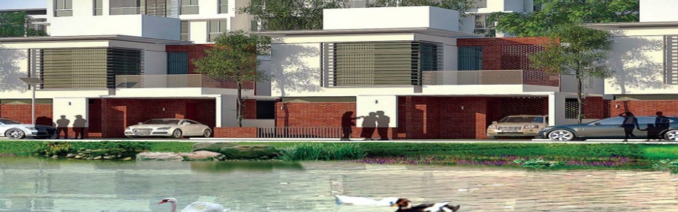 The Lake View.